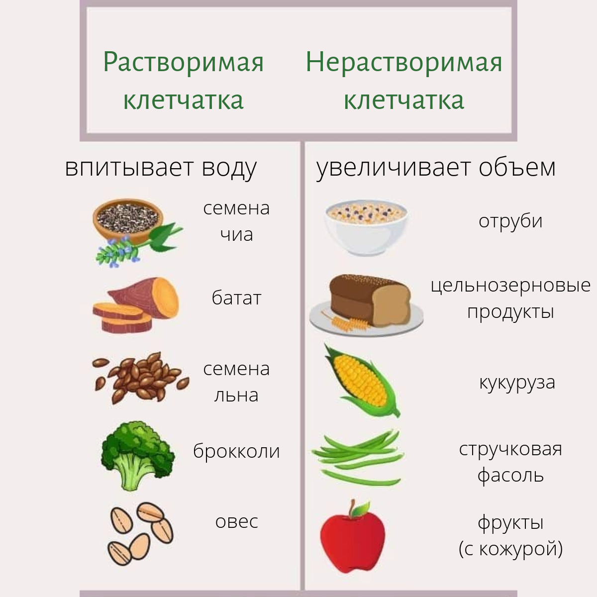 Растворимая и нерастворимая клетчатка разница фото